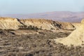 Manmade Oasis in the Arava Desert in Israel Royalty Free Stock Photo