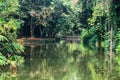 manmade pond surrounded by trees