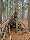 Manmade Tree Shelter in Woods