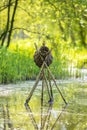 Manmade wooden wild duck nesting basket standing in water
