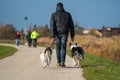 Dog owner with three dogs Royalty Free Stock Photo