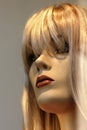 Mannequin beauty Royalty Free Stock Photo