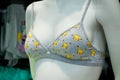 Mannequin with a bra pokemon in a women underwear store