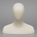 mannequin bust and head Royalty Free Stock Photo
