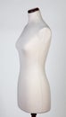 Mannequin or dressmakers dummy Royalty Free Stock Photo