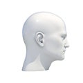 Mannequin Dummy Head Isolated