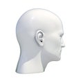 Mannequin Dummy Head Isolated Royalty Free Stock Photo