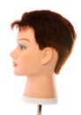 Mannequin Dummy Head Side Royalty Free Stock Photo