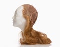 Mannequin Female Head with Foundation of Wig