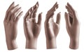 Mannequin hand on isolated white background