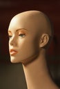 Mannequin Head Royalty Free Stock Photo
