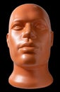 Mannequin head. Brown mannequin head portrait.