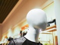 Mannequin head close up. Close-up of a female plastic mannequin head with a pretty face Royalty Free Stock Photo