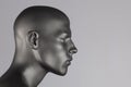 Mannequin head Royalty Free Stock Photo