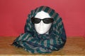 Mannequin head with sunglasses and scarf Royalty Free Stock Photo