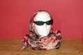 Mannequin head with sunglasses and scarf Royalty Free Stock Photo