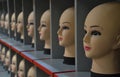 Mannequin heads lined-up