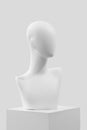 Mannequin on a light background Royalty Free Stock Photo