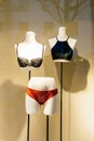 Mannequin parts in showcase window with elegant women lingerie