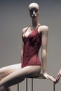 Delicate red lingerie on the showcase