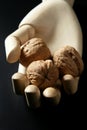 Mannequin wooden hand holding three walnuts