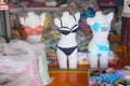 Mannequins dummies wearing underwear