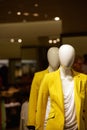 Mannequins in fashionable clothes