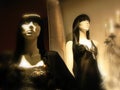 Mannequins in lingeree