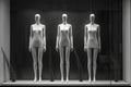 mannequins in a window display with a minimalist, monochrome theme