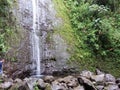 Manoa Falls in Oahu HAWAII USA