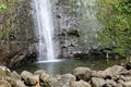 Manoa Falls Pool Royalty Free Stock Photo