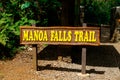 Manoa Falls Trail Hike Oahu Hawaii