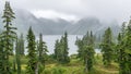 Manquam lake in fog