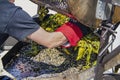 Mans arm with thermal glove and blister from burn reaching into outdoor chili roaster to remove cooked hatch chilis with burned se