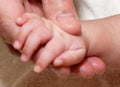 Mans hand holding baby hand Royalty Free Stock Photo