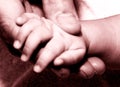 Mans hand holding baby hand2 Royalty Free Stock Photo