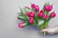 mans hand holding bouquet of fresh flowers tulips on gray background