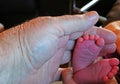 Mans hand holding new born baby's small feet.