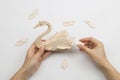 Mans hands assembling wooden swan toy