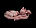 Mans hands holding tiny baby's feet isolated Royalty Free Stock Photo