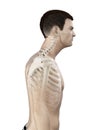 A mans neck Royalty Free Stock Photo