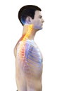 A mans painful neck Royalty Free Stock Photo