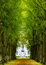 Mansion at the end of a green alley