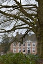 Mansion Wezuperbrug behind a old majestic beech tree