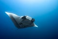 Manta Ray Elegance in Socorro Island: A Mesmerizing Underwater Encounter
