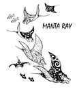 Manta ray and fish in the sea Royalty Free Stock Photo