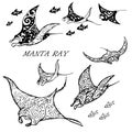 Manta ray and fish in the sea Royalty Free Stock Photo