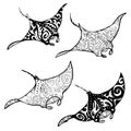 Manta ray and fish in the sea Royalty Free Stock Photo