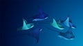 Manta ray fishes, marine animals, sea creatures set vector illustration Royalty Free Stock Photo