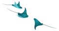 Manta ray fishes, marine animals, sea creatures vector collection